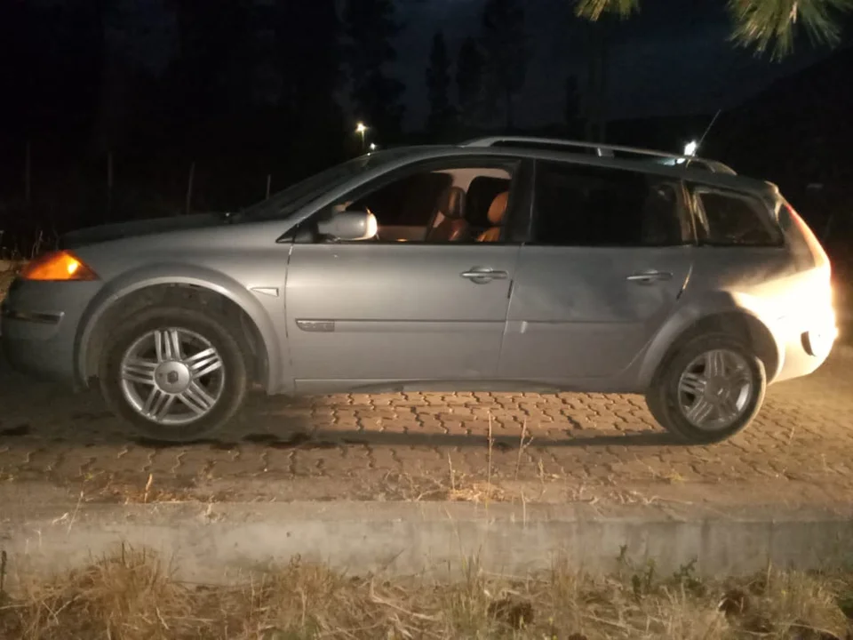 Otra vez: un caballo suelto y un accidente que de milagro no fue peor