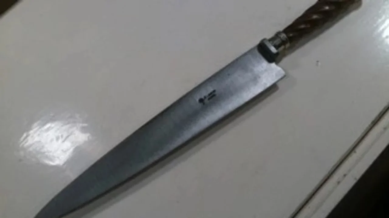 Una mujer Intentó matar a su hijo de 9 años con un cuchillo