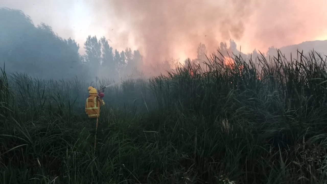 El incendio sigue activo, pero bajaron el alerta a amarillo en el Cerro Currumahuida