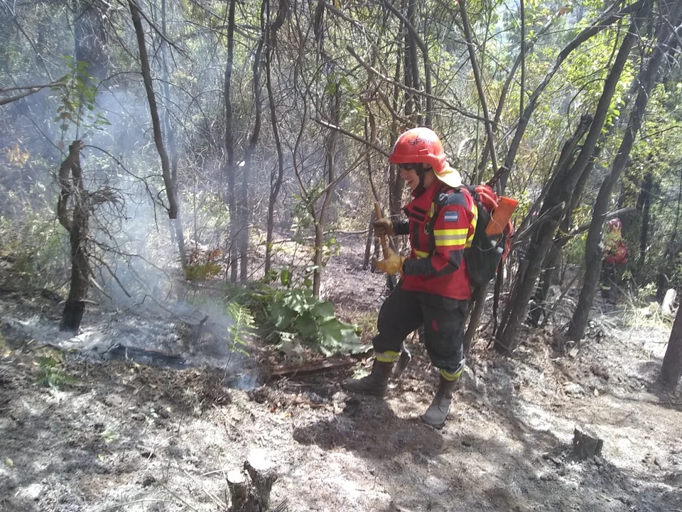 Se circunscribieron los incendios de Los Cipreses y el Parque Nacional Los Alerces
