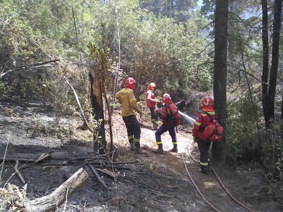 Se circunscribieron los incendios de Los Cipreses y el Parque Nacional Los Alerces