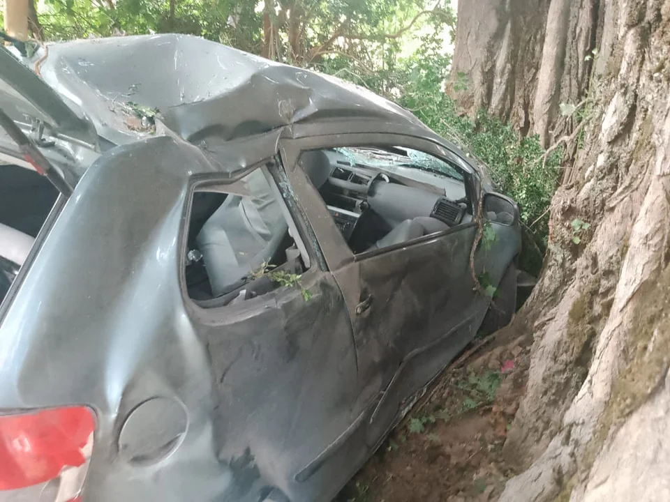 Perdió el control y chocó contra un árbol