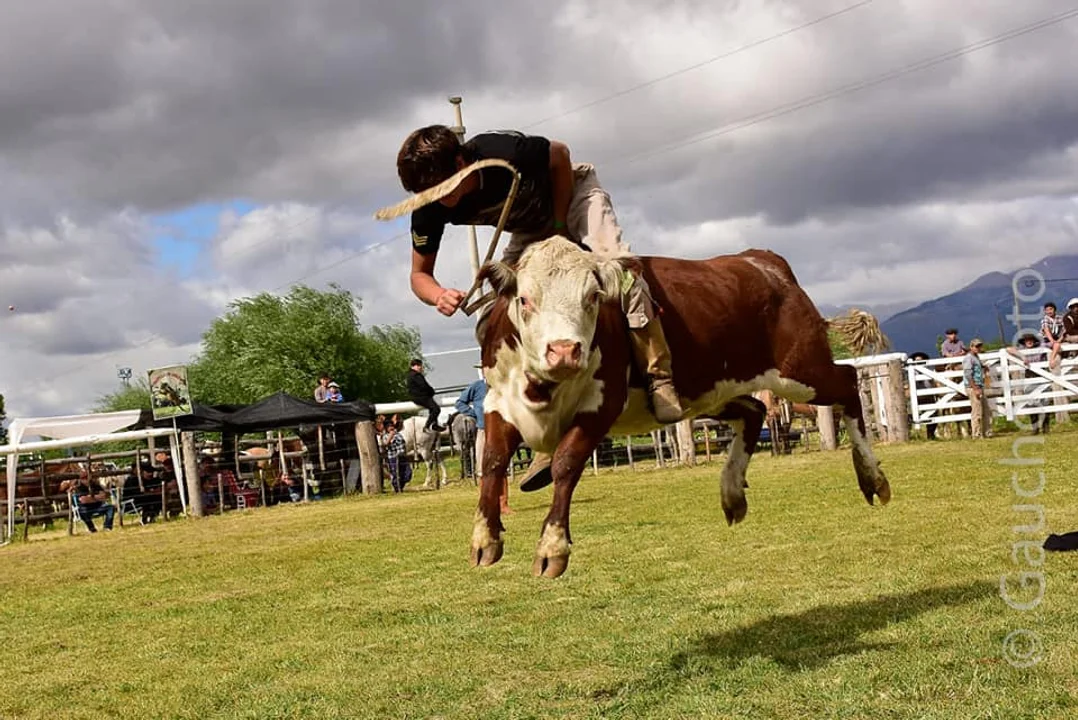 Foto: Facebook Fiesta del Ternero Cordillerano