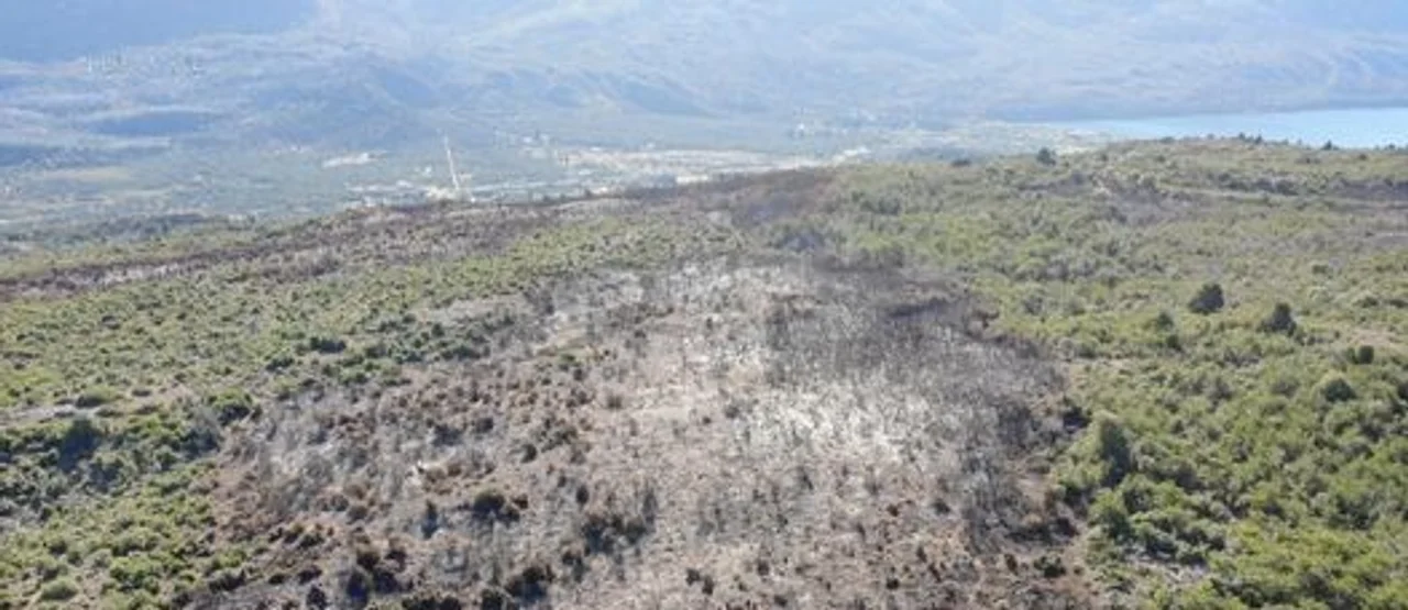 Dan por contenido el incendio en el límite del Parque Nacional Los Alerces