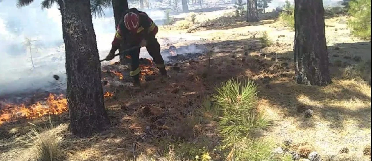 Extinguieron el incendio en cercanías a Laguna La Zeta