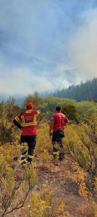 Refuerzan el despliegue de brigadistas y medios aéreos para controlar el incendio en El Pedregoso
