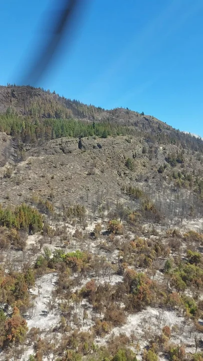 Brigadistas lograron contener el incendio en la zona de Epuyén