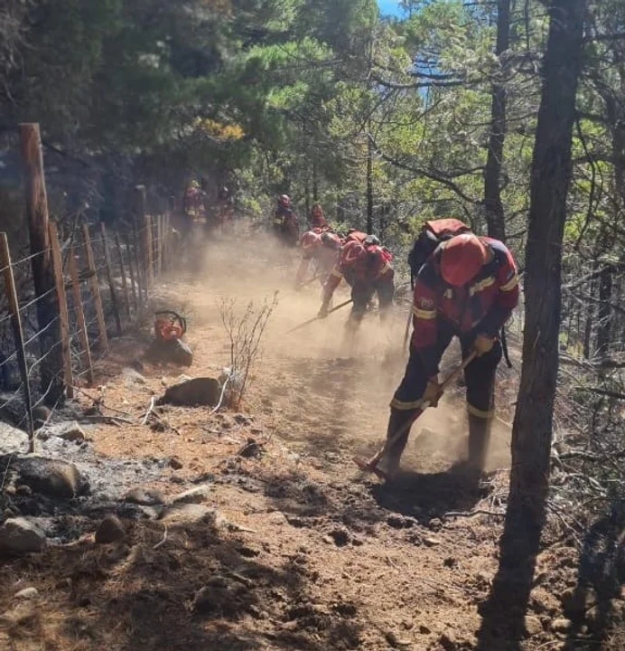 Brigadistas controlaron incendio en Epuyen
