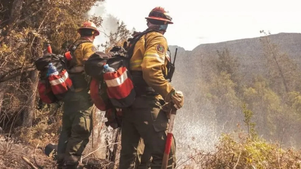 Lograron contener el incendio en El Bolsón