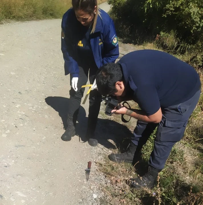 Golpeó a su ex pareja y atacó a la policía con una motosierra