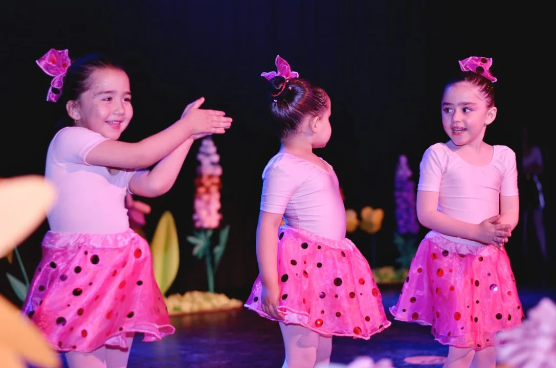 Nuevas corrientes de la danza clásica desembarcan en Esquel