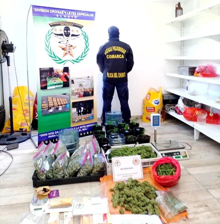 Secuestraron más de 6 kilos de marihuana y una importante suma de dinero en la Comarca