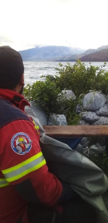 Lago Cholila: intenso trabajo para reforestar bosques afectados por los incendios