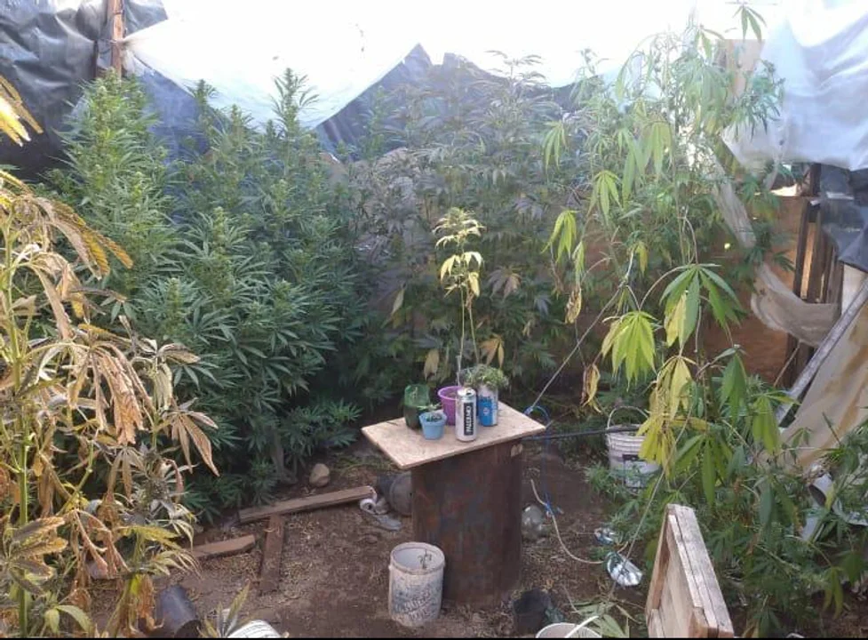 Gendarmería allanó y secuestró droga en una vivienda de Esquel