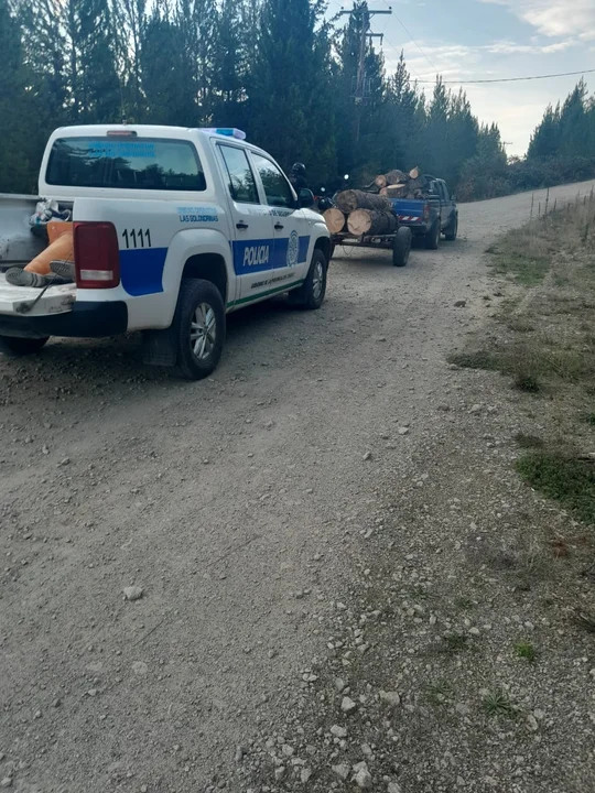 Detienen a un hombre con pedido de captura mientras transportaba madera sin guía