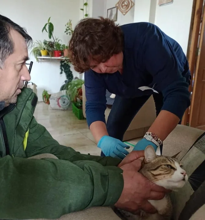 Esquel: Vacunan a las mascotas en la zona céntrica tras el caso de murciélago con rabia