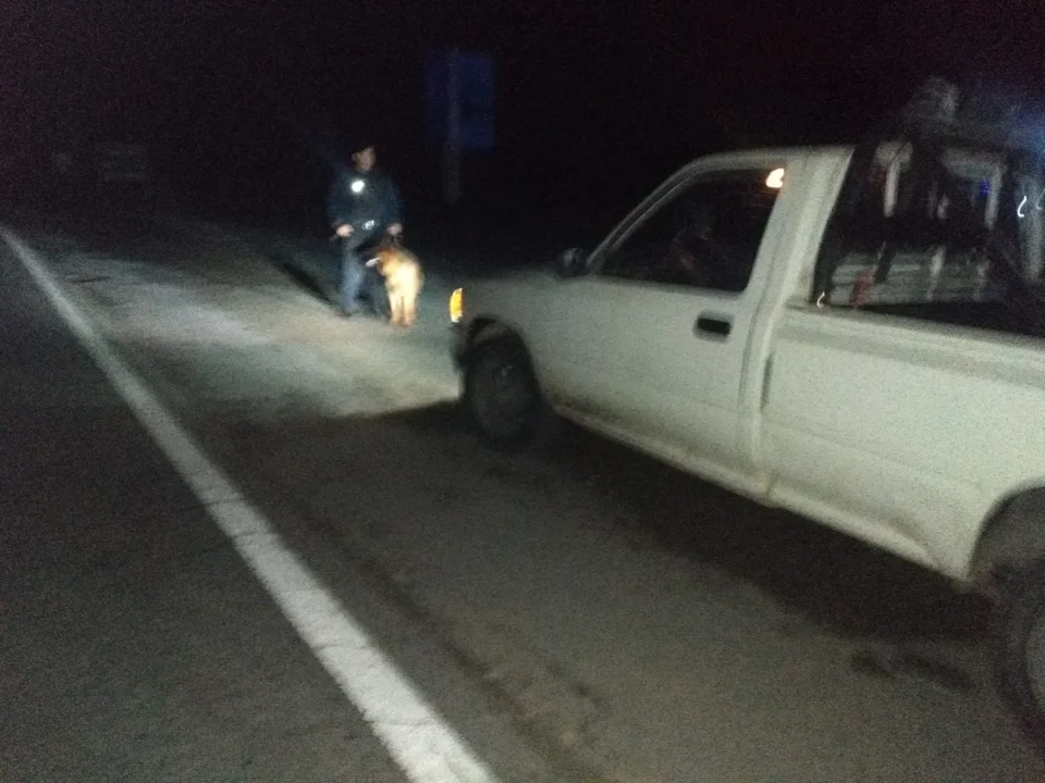 Secuestraron cogollos de marihuana y dinero en un control vehicular