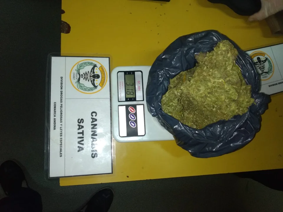 Secuestraron cogollos de marihuana y dinero en un control vehicular
