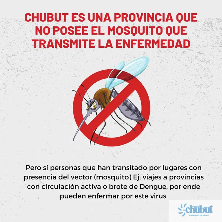 Dengue: En Chubut no hay presencia del mosquito que transmite el virus