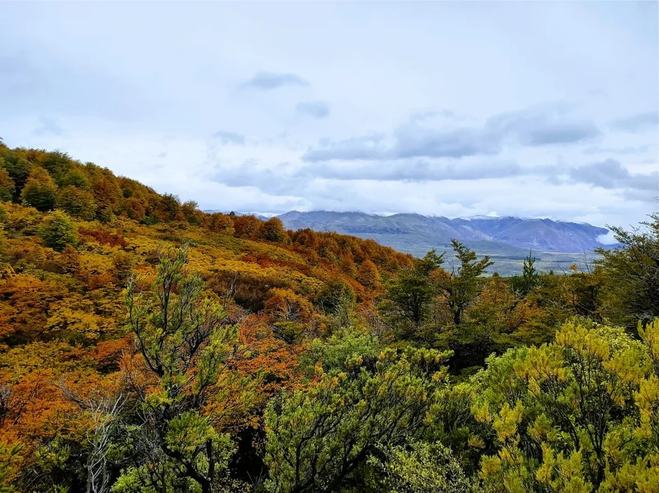 Esquel en otoño ¿Cómo sigue el tiempo después de la lluvia?