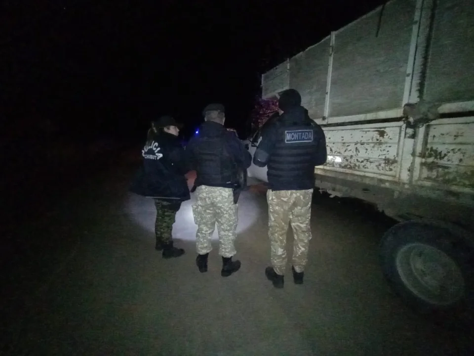 Operativo policial detecta irregularidades en transporte de carne y animales en El Maitén