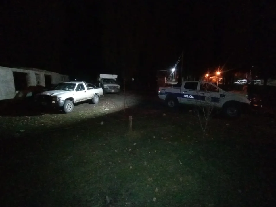 Operativo policial detecta irregularidades en transporte de carne y animales en El Maitén