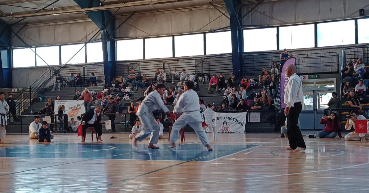 Más de 150 deportistas tomaron parte del Torneo Provincial de Karate Do