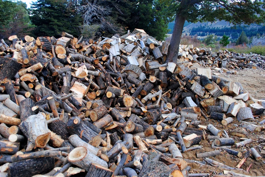 Plan Calor 2023: Avanza el reparto de leña en diferentes barrios de Esquel
