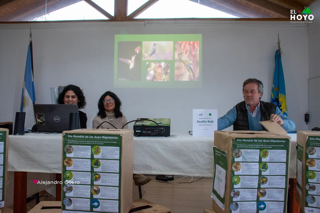 El Picaflor Rubí fue elegido como ave emblema de la localidad de El Hoyo