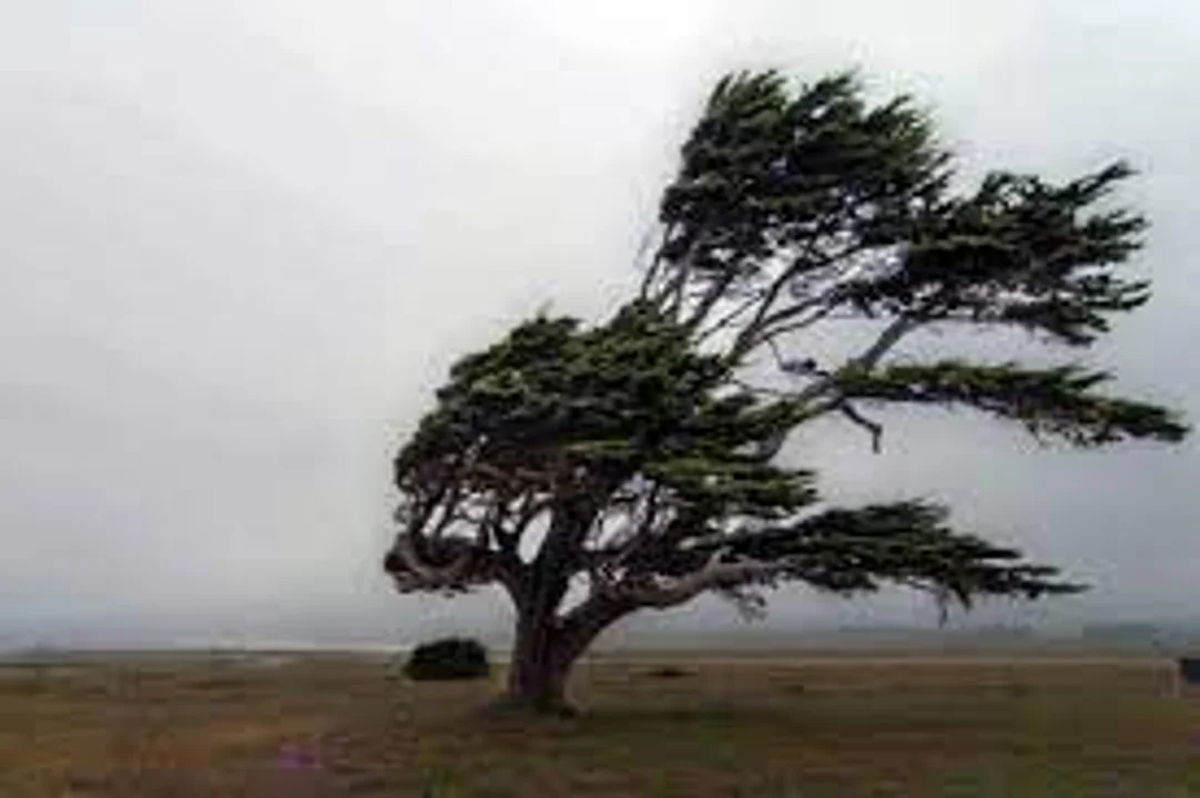 Alerta por vientos fuertes para este martes en Chubut