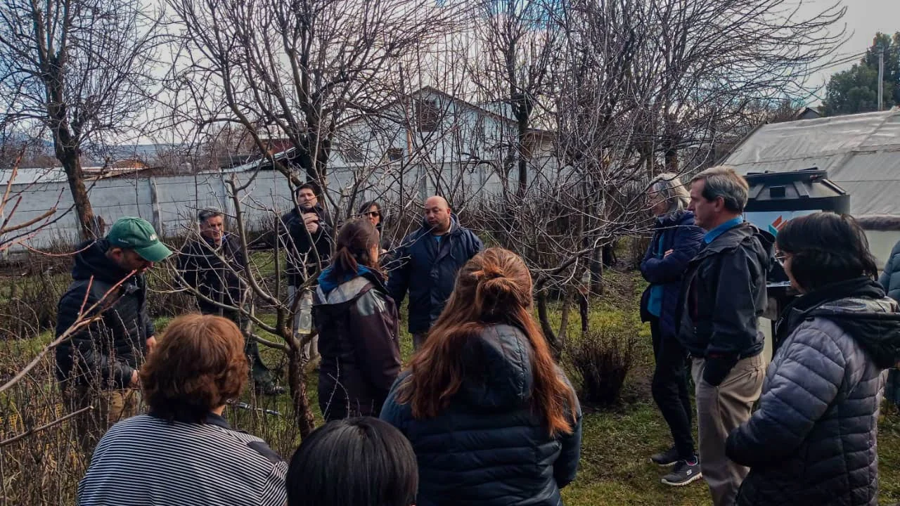 Trevelin: Brindaron una capacitación sobre poda de árboles frutales