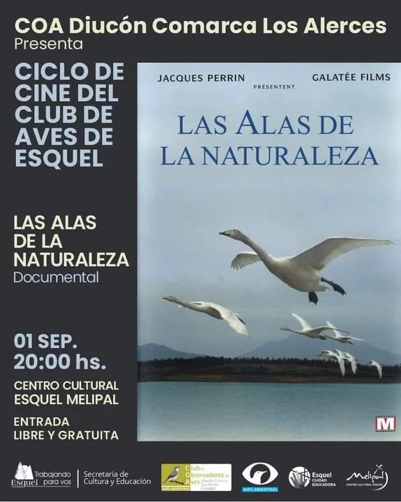 Descubre el fascinante vuelo de las aves migratorias con "Las alas de la naturaleza"