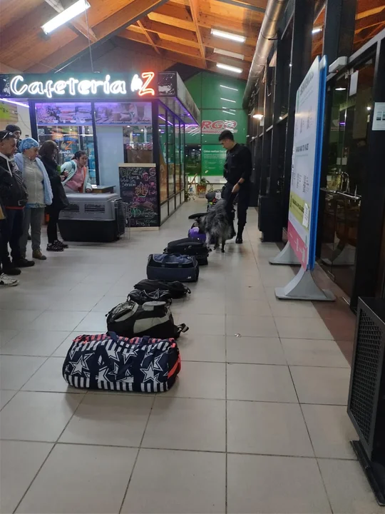 Le secuestraron cannabis y luego le devolvieron lo que tenía permitido por el Reprocann