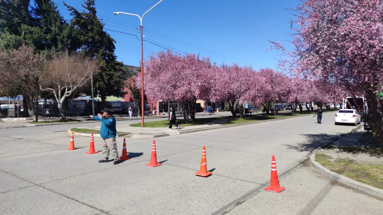 Participación de artesanos y artistas locales en la Fiesta de los ciruelos: Corte de tránsito en Avenida Ameghino