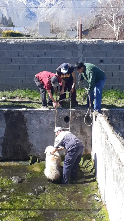 Preocupación por las condiciones del Skatepark: Piden el cercado de la pista