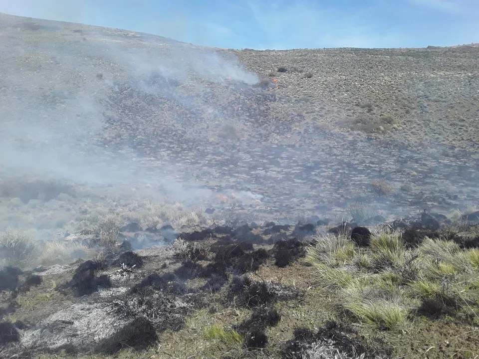 Hicieron una fogata para almorzar y el viento propagó las llamas