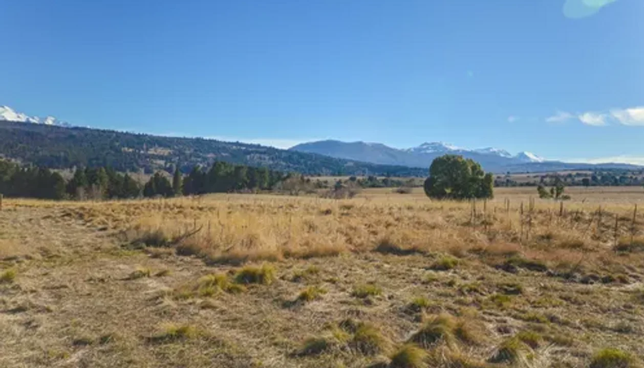 Hallaron tres animales faenados en una chacra cerca de Esquel