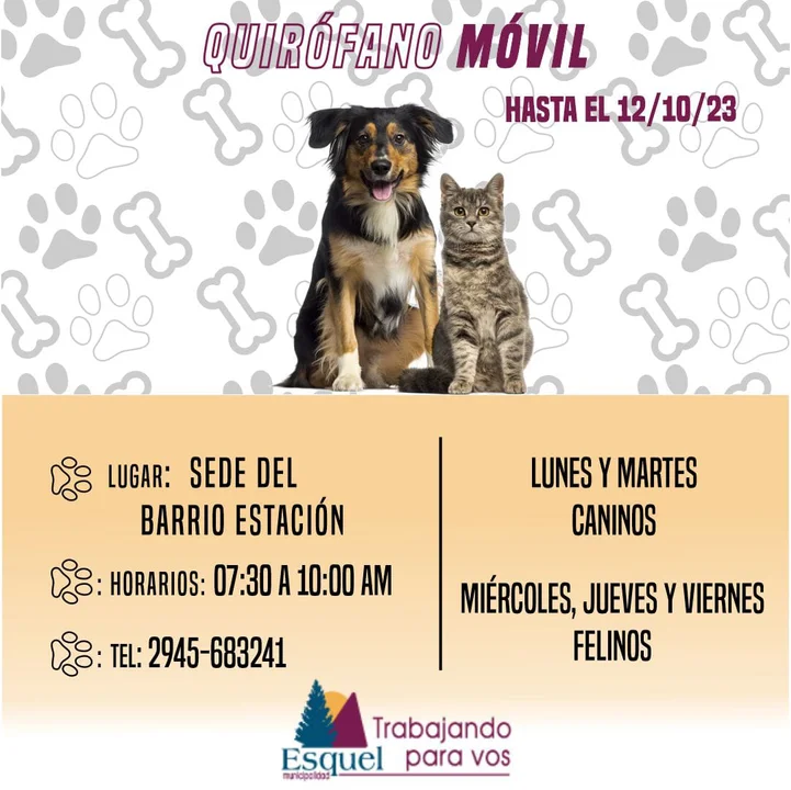 ¿Hasta cuándo atiende el quirófano móvil en el barrio Estación?