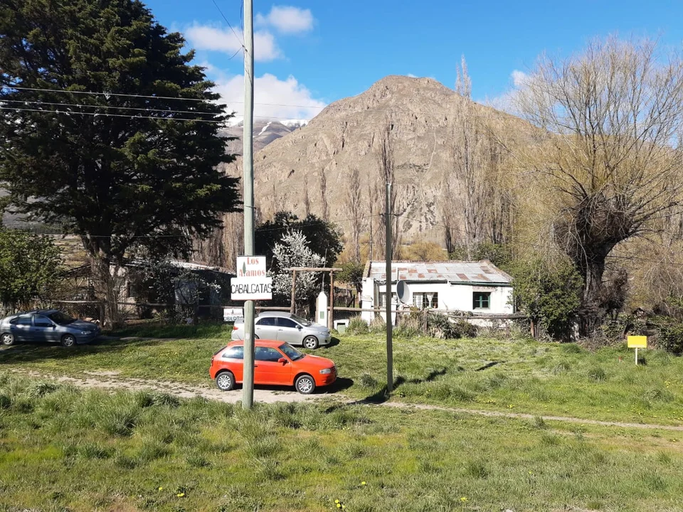 Denuncian el robo de 12 corderos de una chacra en Esquel