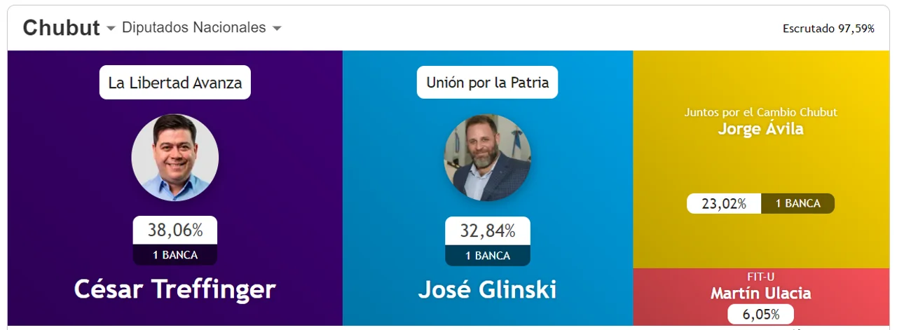 Treffinger, Glinski y Ávila entran en la Cámara de Diputados