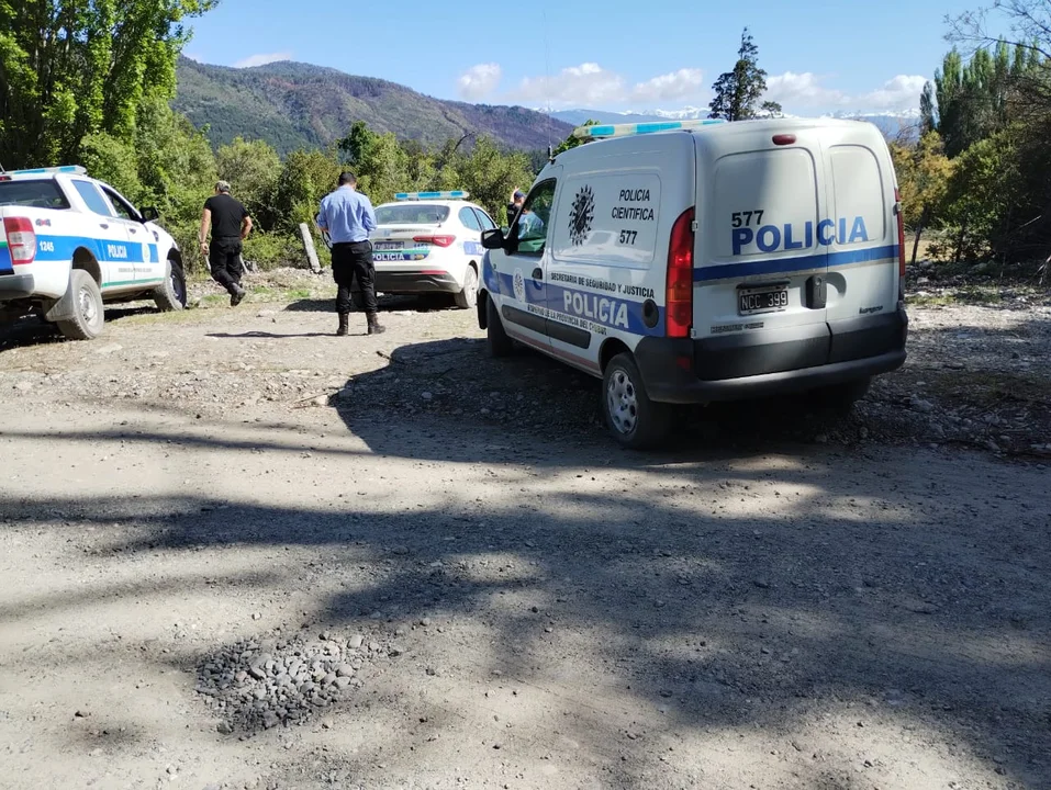 En un allanamiento por robo de electricidad encontraron 40 plantines de cannabis
