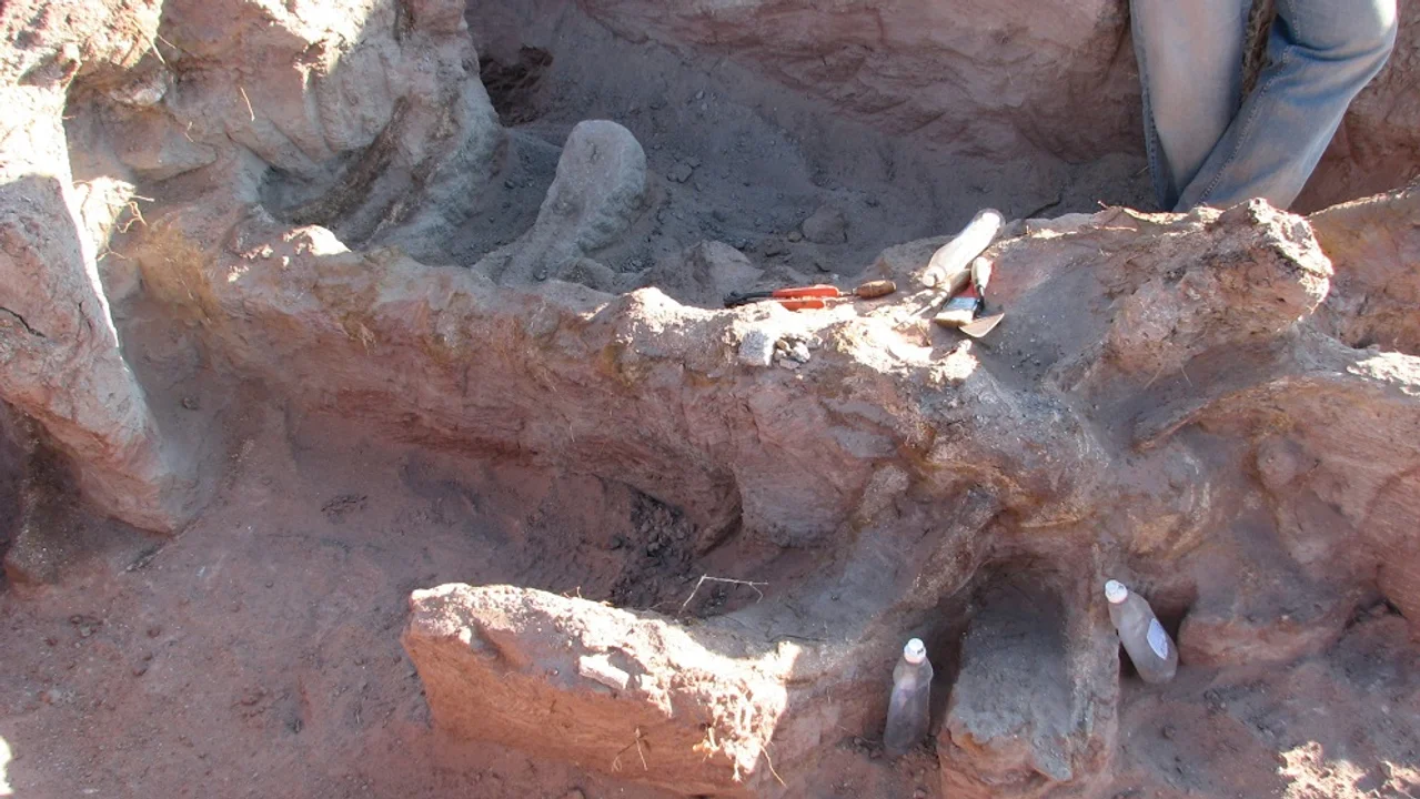 Descubren los restos de una nueva especie de dinosaurio en Neuquén (Foto: gentileza investigadores)