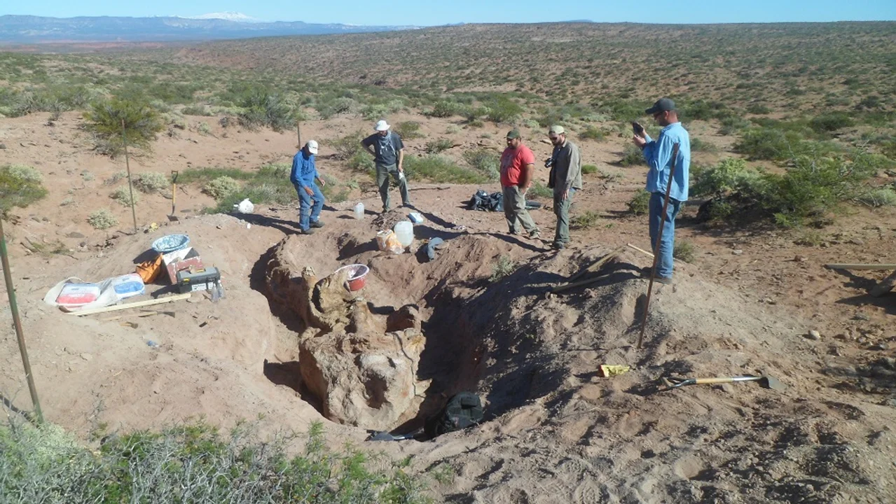 Foto: gentileza investigadores