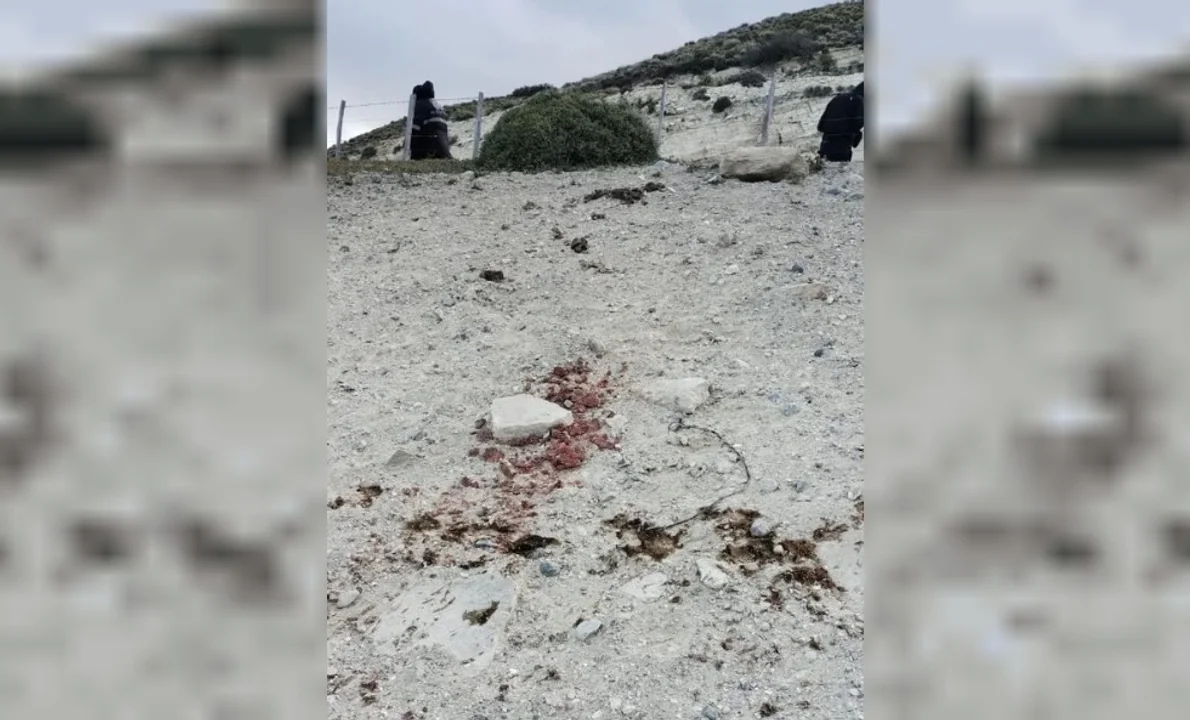 Robo de ganado mayor en la Estancia Tecka: Policía descubre indicios de faena ilegal