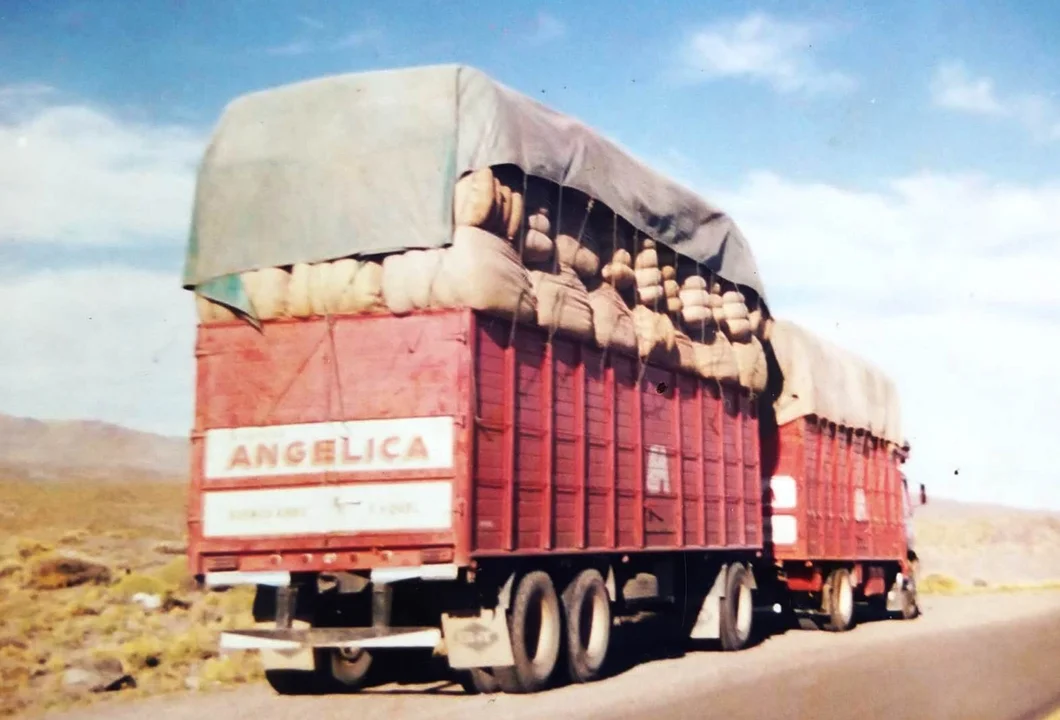 EPOCA DORADA DE LA ZAFRA LANERA