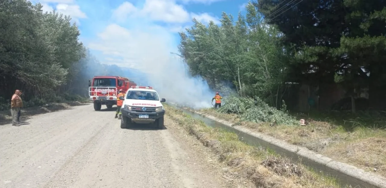 Por el roce de los árboles con el cableado público se produjo un principio de incendio