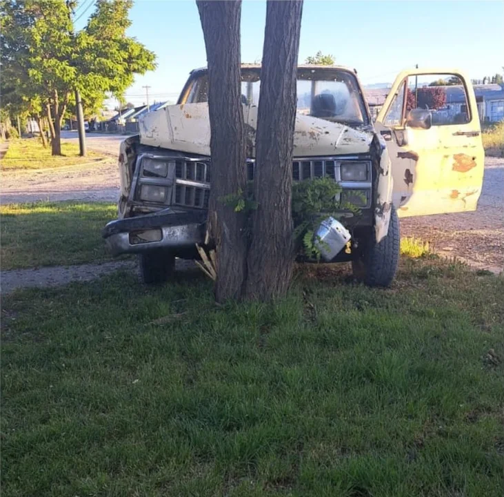 Manejaba ebrio y chocó contra un árbol en Trevelin