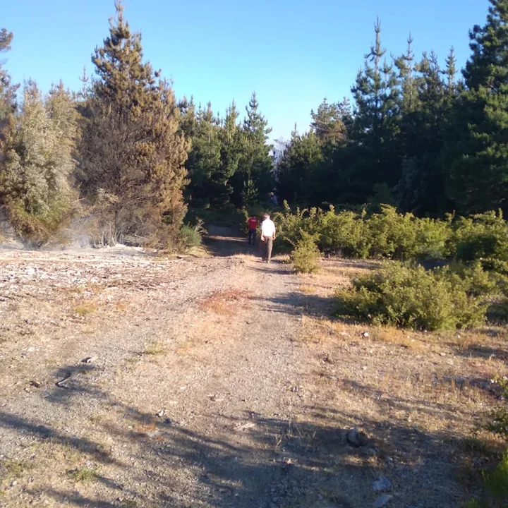Lograron contener el incendio en la zona de Epuyén