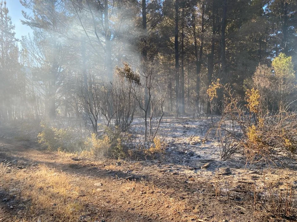 Controlaron el incendio que afectó más de 7 hectáreas en la zona de Epuyén