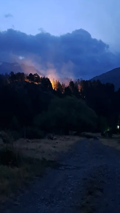 Controlan incendio forestal en la zona de Los Cipreses